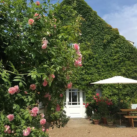 Apartament Am Deich Cluvenhagen