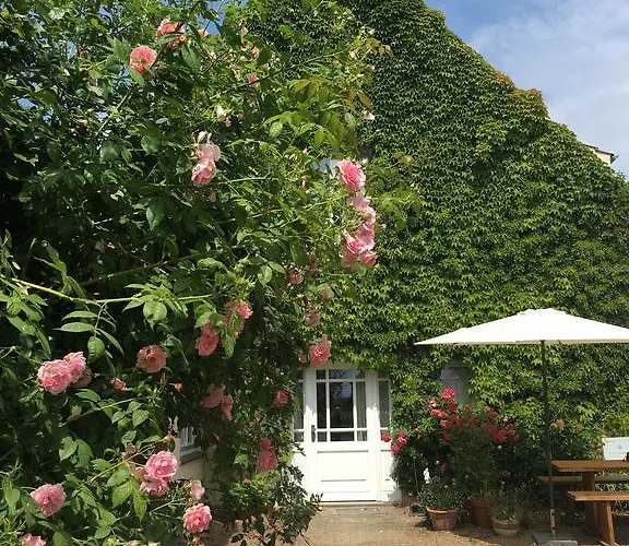 아파트 Landhaus Am Deich Cluvenhagen